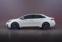 EE.UU. ¿Cuál es el automóvil y el color del mismo más común en el Estado de la Florida?